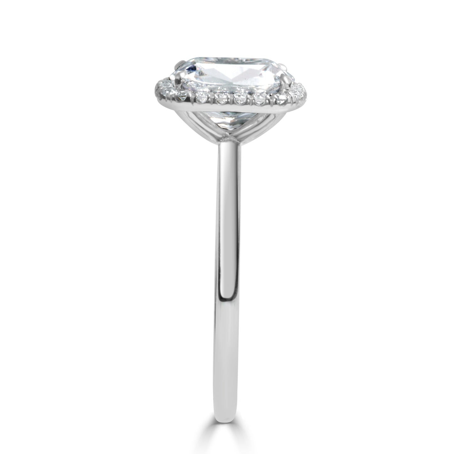 THE PETITE HALO - ER1240