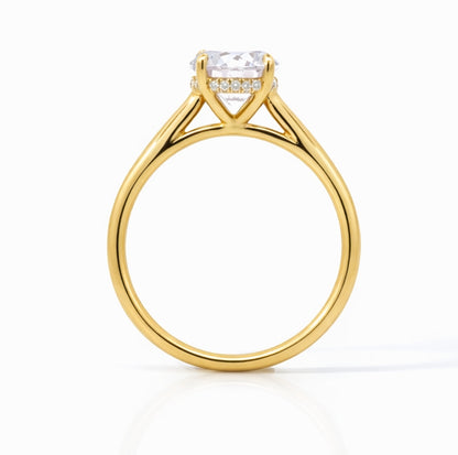 Hidden Halo Cathedral Solitaire Engagement Ring, 2mm Band. ER1420